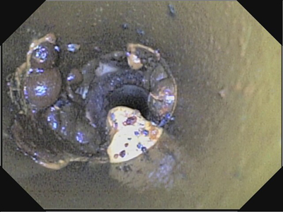 給水管施工イメージ4